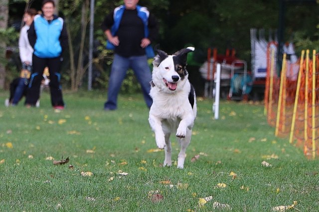 Herbstfest 2019